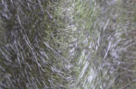 Cammachmore fibreglass roof work